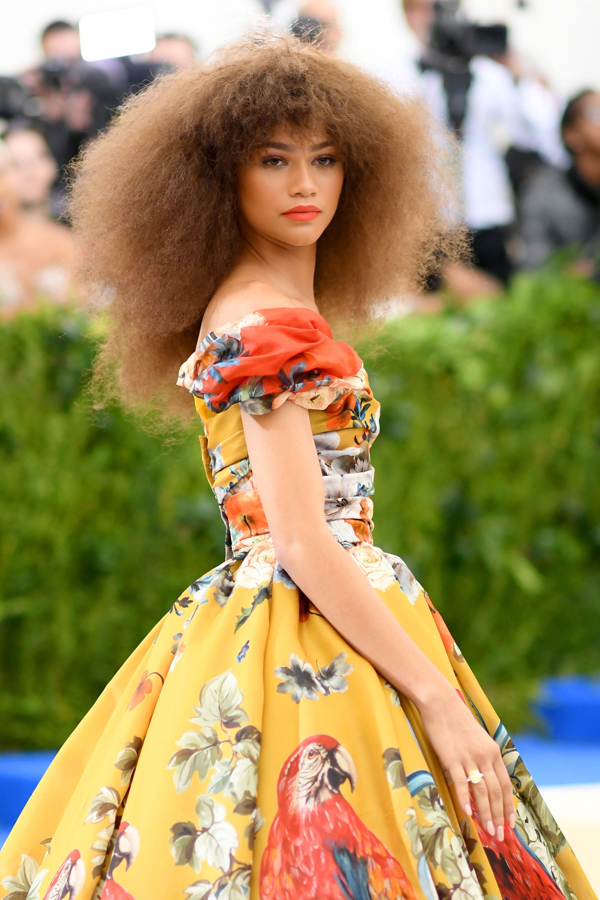 Photos of Zendaya s Met Gala 2017 Hair Zendaya s Afro At the