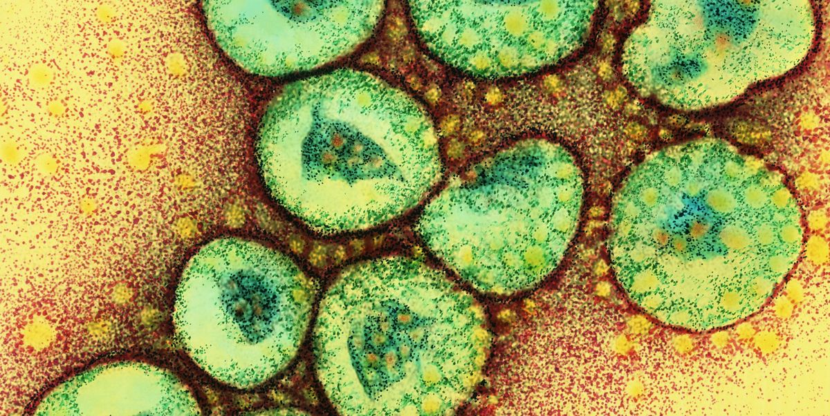 What Is Coronavirus, the Deadly Virus That Just Entered the U.S. from China?