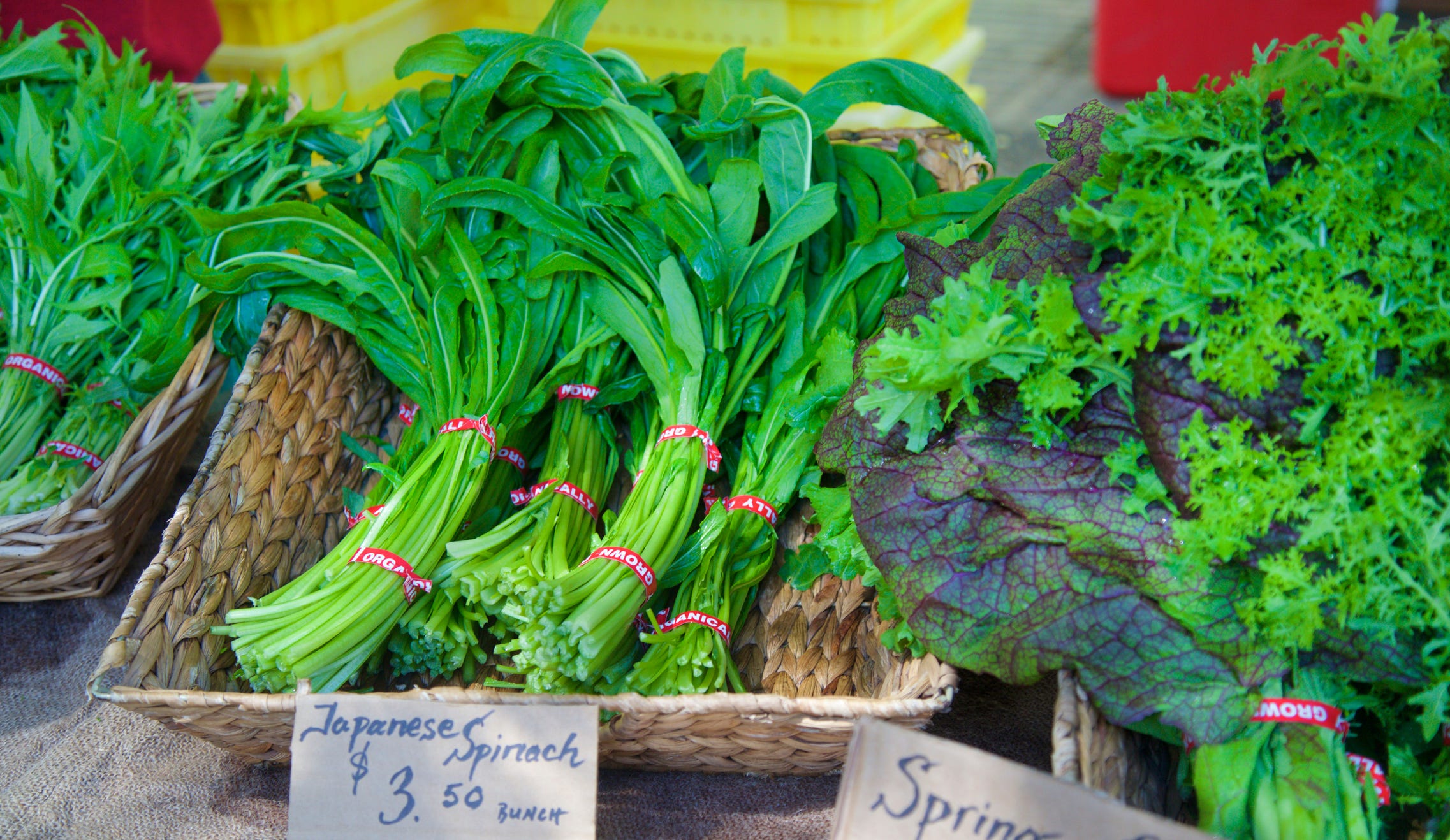 Japanese Mustard Spinach - foods with vitamin c