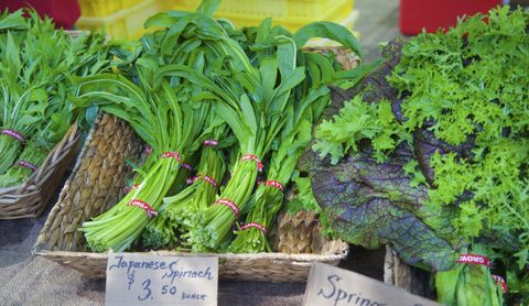Japanese Mustard Spinach - foods with vitamin c