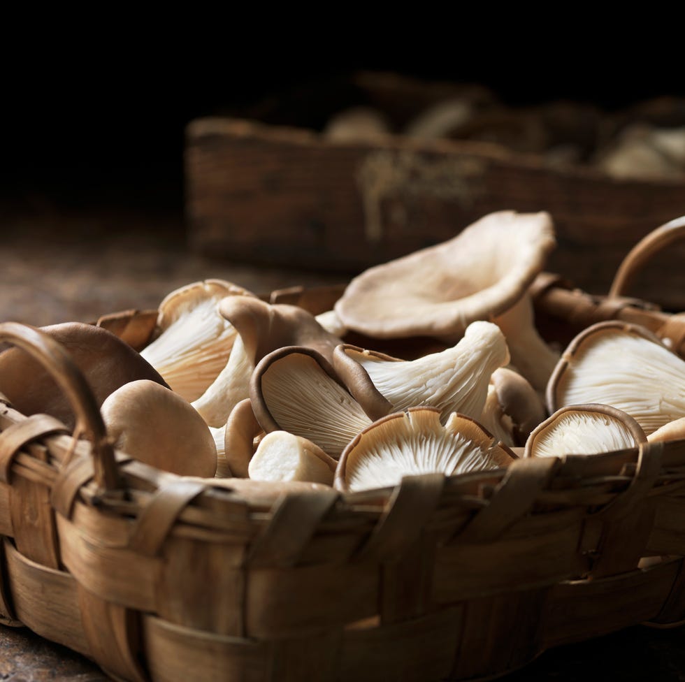 Fresh oyster mushrooms in basket oyster mushrooms