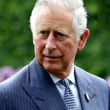 The Prince Of Wales Visits Kew Gardens london, england may 17: prince charles, prince of wales amongst the alliums during a visit to kew gardens on may 17, 2017 in london, england. (photo by chris jackson/getty images)