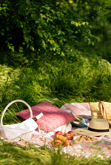 summer picnic in the forest on the grass with wine, fruit and croissants