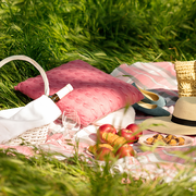 summer picnic in the forest on the grass with wine, fruit and croissants