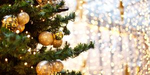 Christmas tree, Christmas decoration, Christmas ornament, Christmas, Tree, Branch, Christmas eve, Fir, Plant, Interior design, 