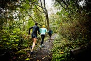 Group of female friends running up forest trail
