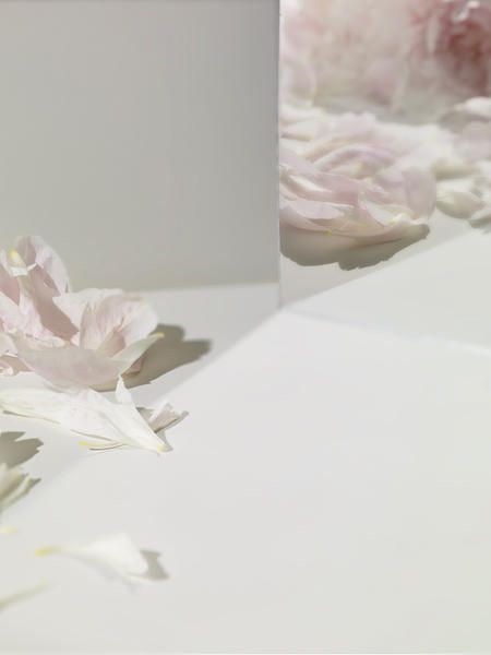 Petal, Pink, Artificial flower, Still life photography, Pedicel, Cut flowers, Floral design, Plaster, 