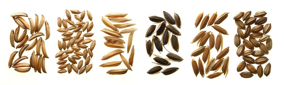 Different types of rice grains arranged on a white background, top down