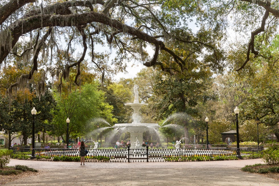 Fountain, Tree, Public space, Botanical garden, Botany, Spring, Park, Water feature, Woody plant, Architecture, 