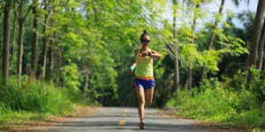 Running, Long-distance running, Outdoor recreation, Recreation, Jogging, Individual sports, Tree, Sports, Athlete, Ultramarathon, 