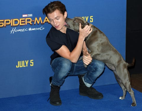 london, england june 15 tom holland attends the spider man homecoming photocall at the ham yard hotel on june 15, 2017 in london, england photo by anthony harveygetty images