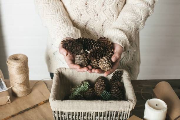 Pine Stems with Pinecones One