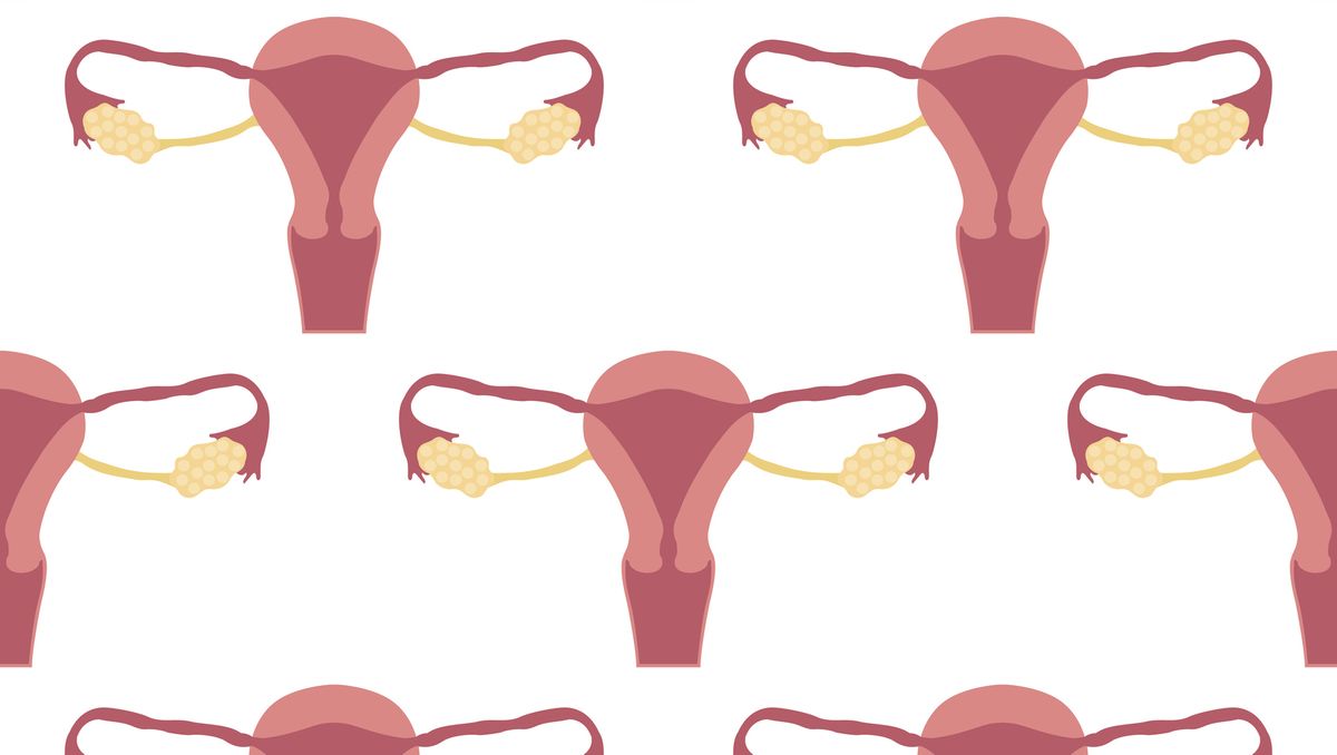 uterus-and-ovaries