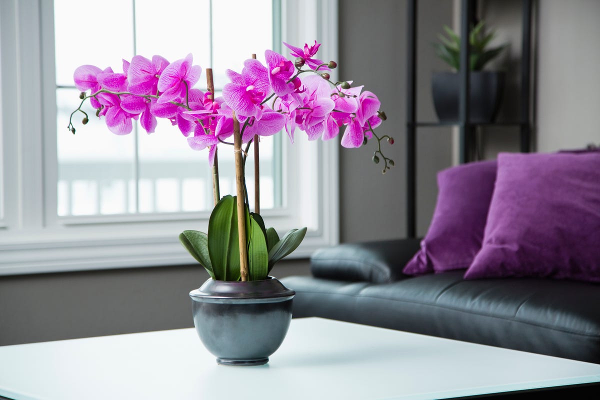 arreglos florales con flores amarillas