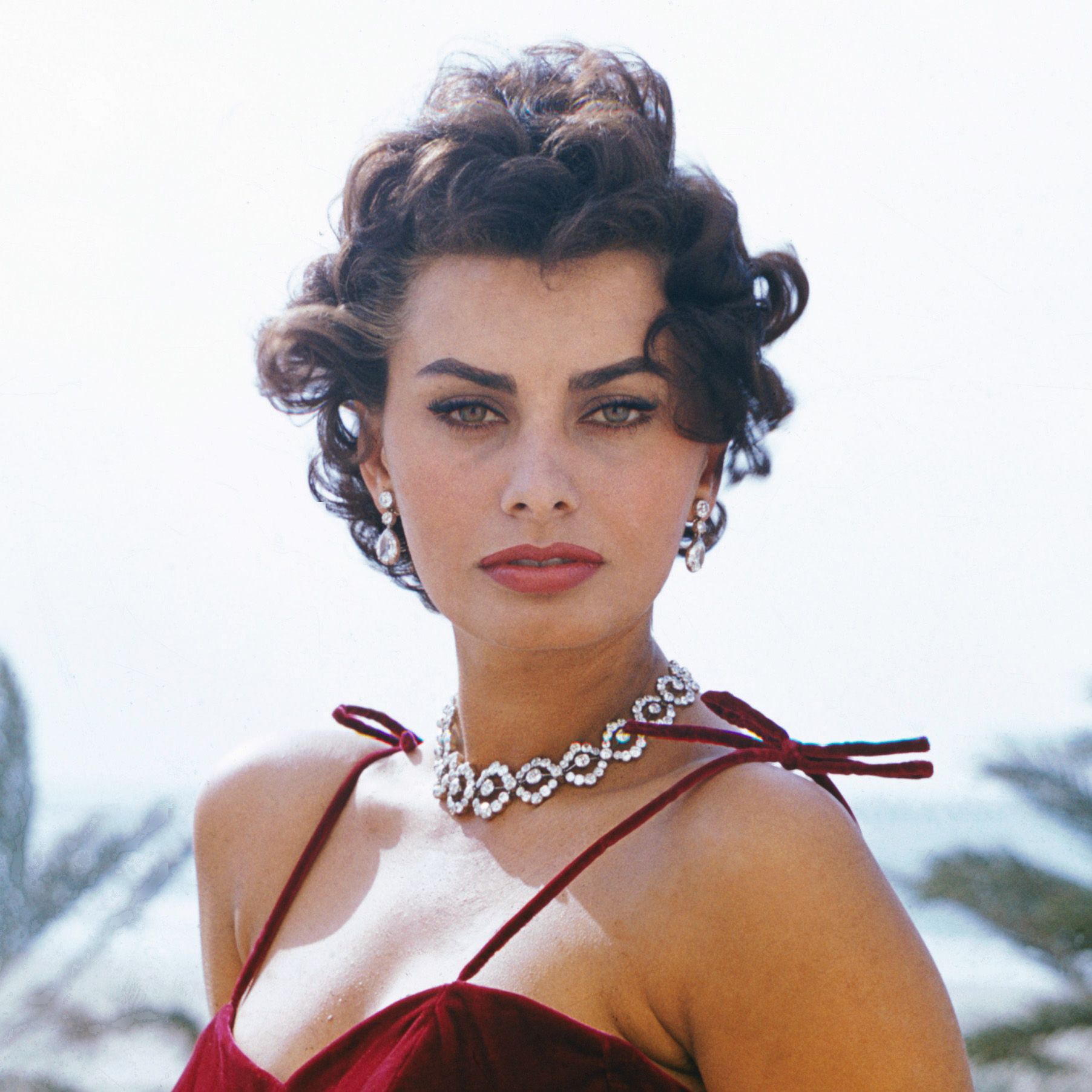 Sofia Lione Xnxx - Sophia Loren - Movies, Age & Children