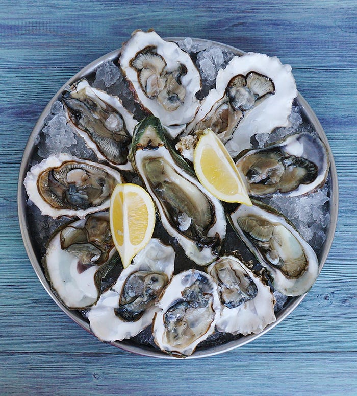 oysters