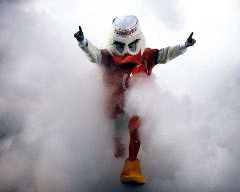 miami   october 14  ibis the university of miami hurricanes mascot runs through a smoke cloud prior to a game against the florida international university panthers at the orange bowl on october 14, 2006 in miami, florida  photo by marc serotagetty images