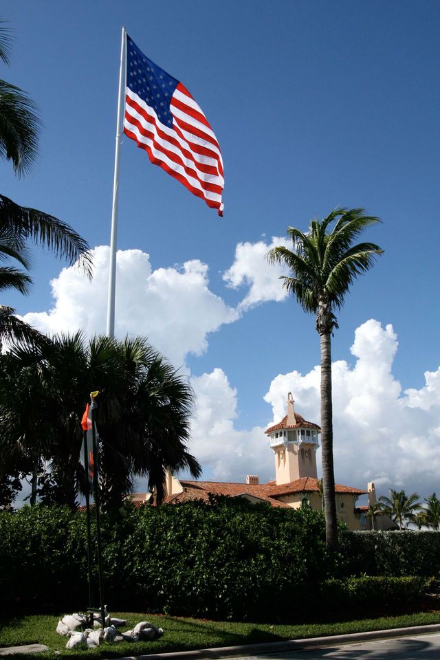 Flag, Flag of the united states, Sky, Palm tree, Tree, Arecales, Woody plant, Vacation, Architecture, Plant, 