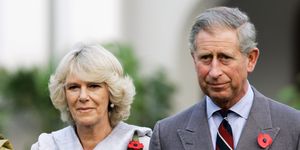 king charles camilla, queen consort will live