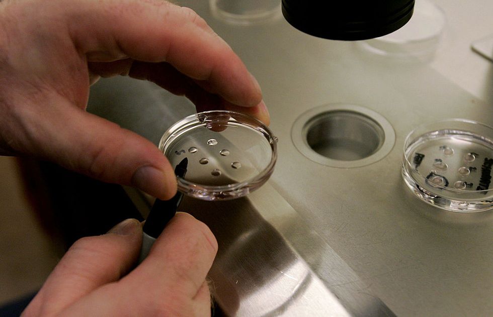 What the Alabama Embryo Ruling Could Mean for the Future of Fertility ...