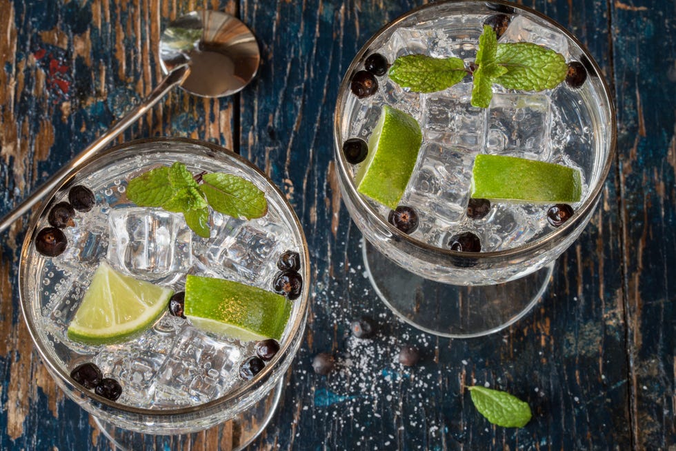 Come si prepara un Gin Tonic perfetto a casa? Le regole