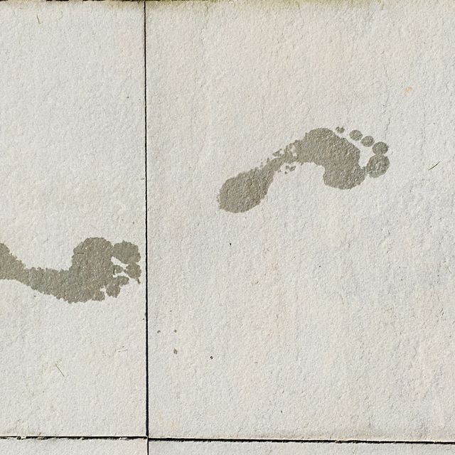 High Angle View Of Footprint On Footpath