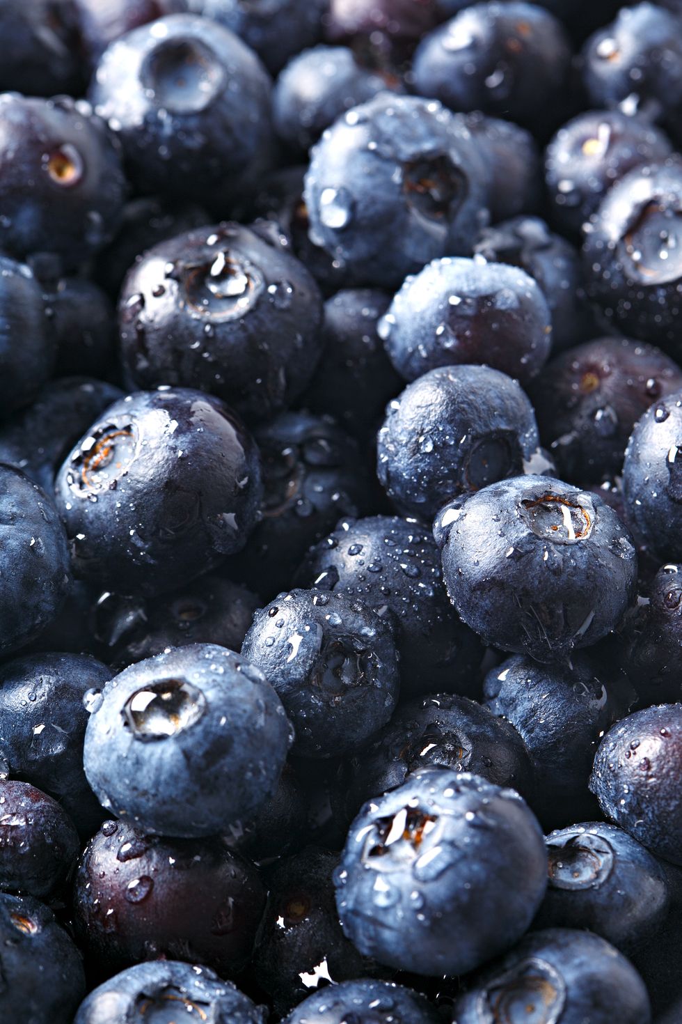 Bilberry, Fruit, Berry, Natural foods, Superfood, Blueberry, Huckleberry, Food, Plant, Seedless fruit, 