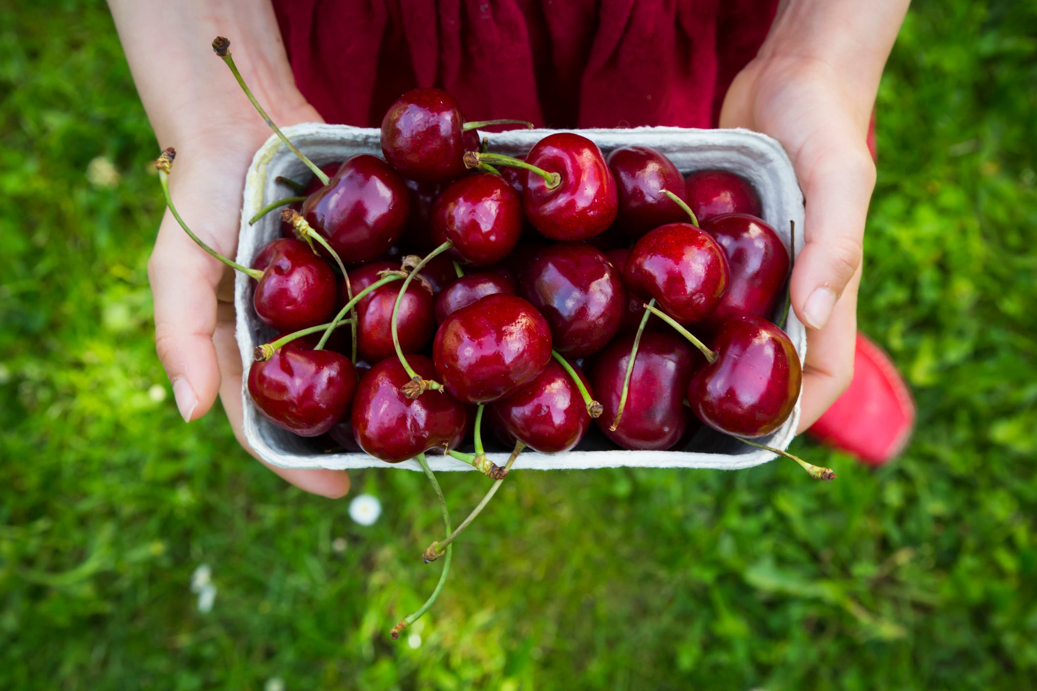 cerezas