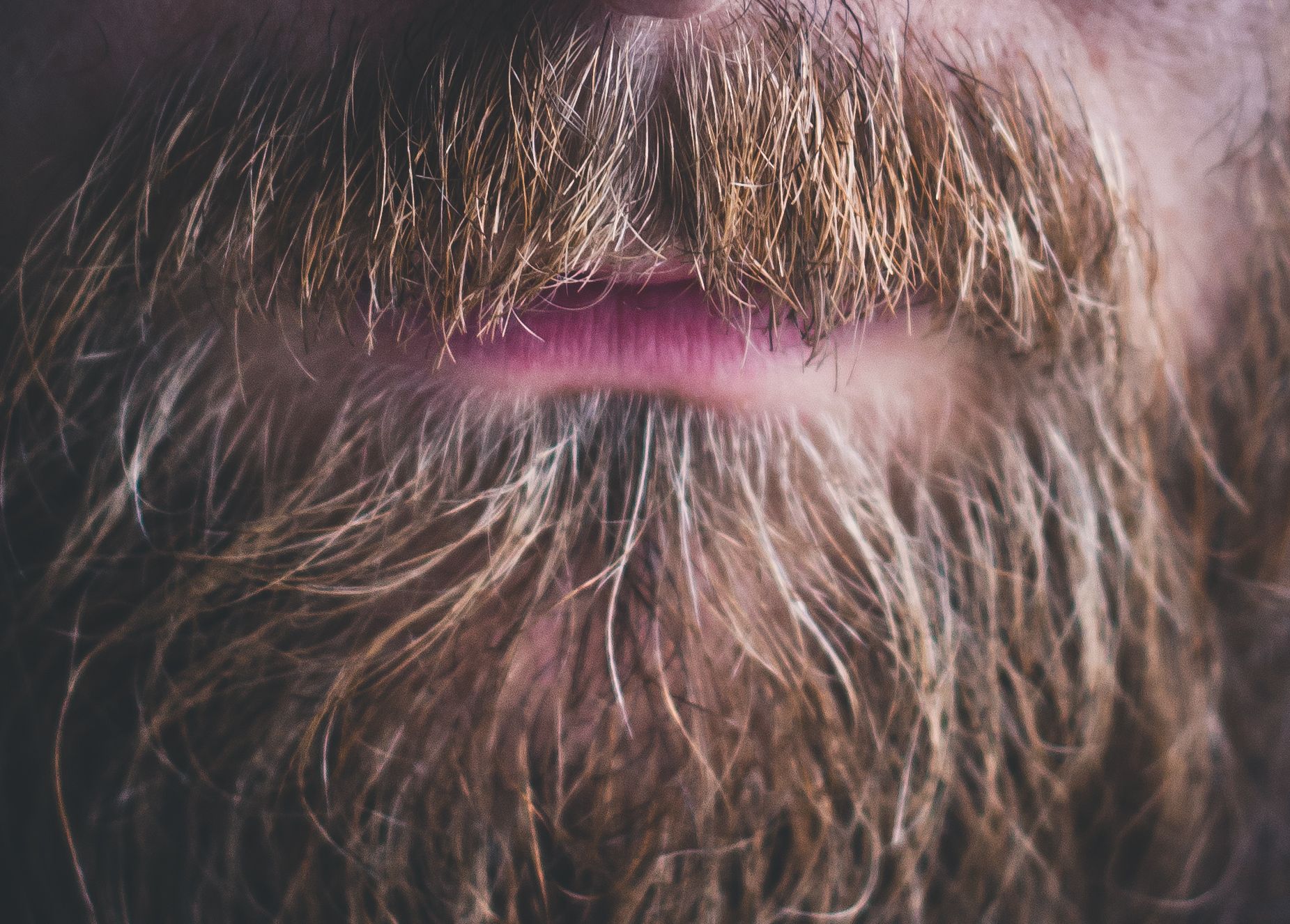 Barba sfumata a punta taglio e cura anche a casa Esquire