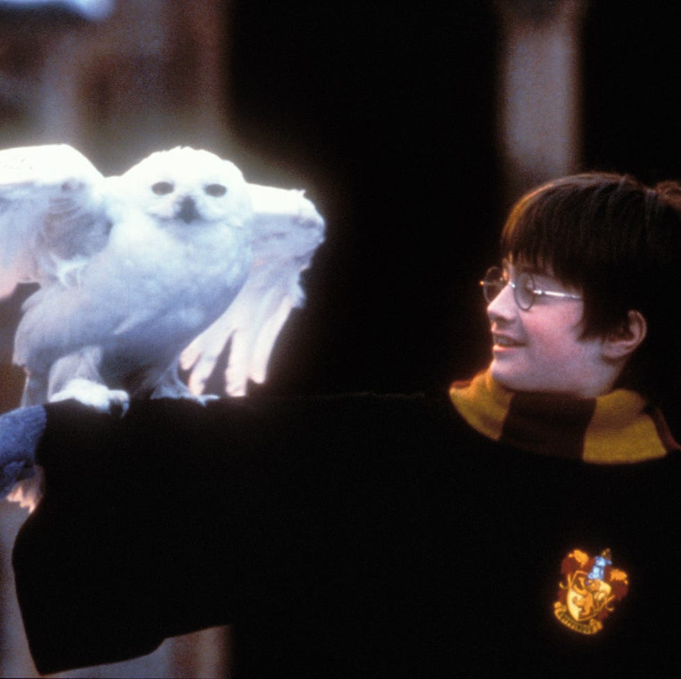 Harry Potter and The Sorcerer's Stone - Movie Stills daniel radcliffe (photo by peter mountain/wireimage)
