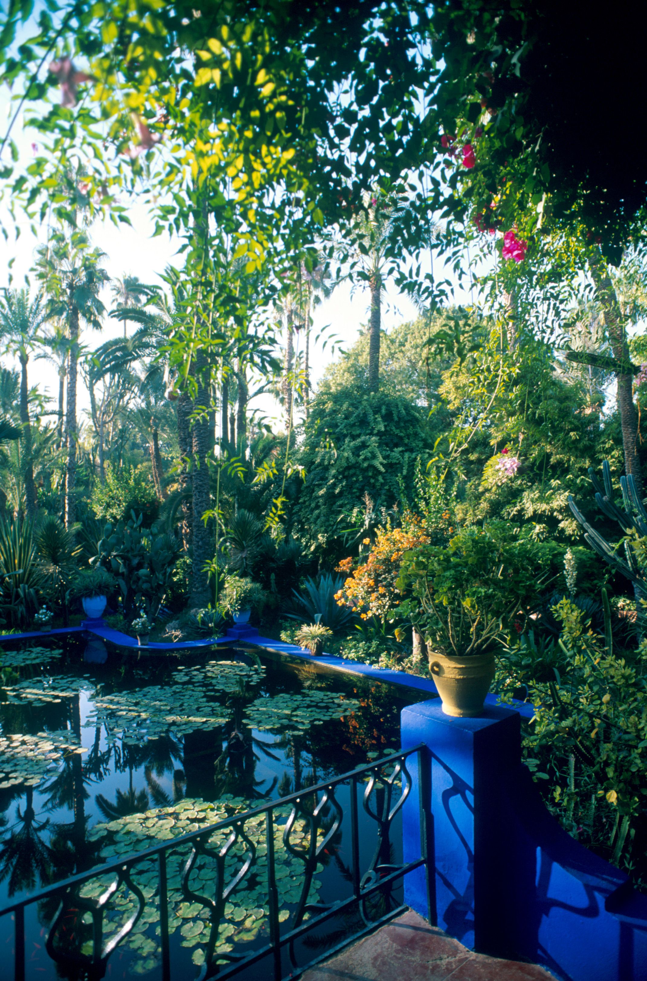 イヴ・サンローランが愛したモロッコのマジョレル庭園を造園家・齊藤 