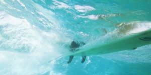 世界で最も有名なサーファー、ケリー・スレーターがサメを追い越す【仰天動画】