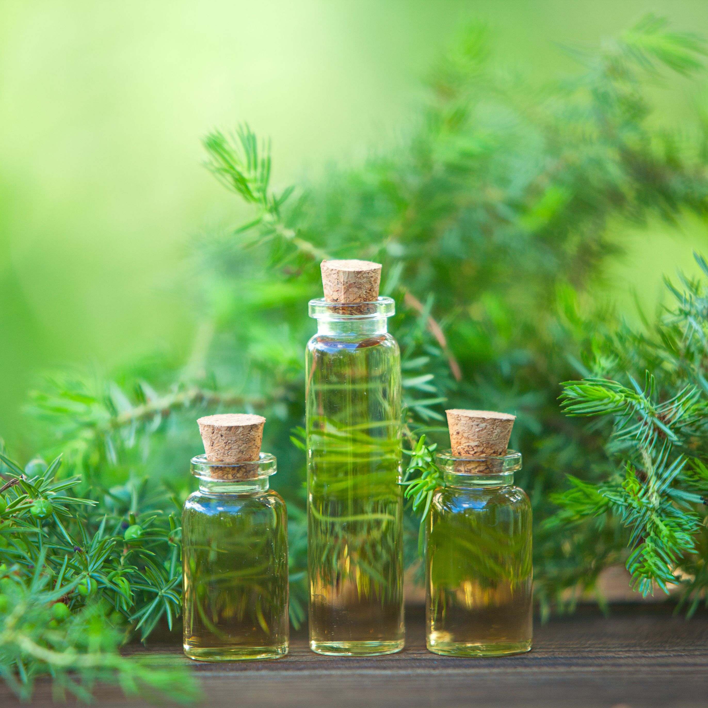 5 Benefits of Tea Tree Oil -- How to Use Tea Tree Oil