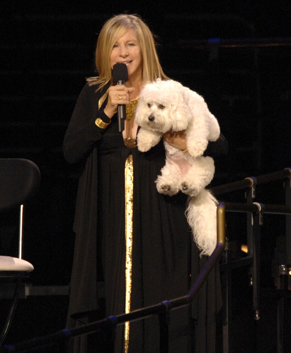 Barbra Streisand con su perrita Samantha 'Sammie'