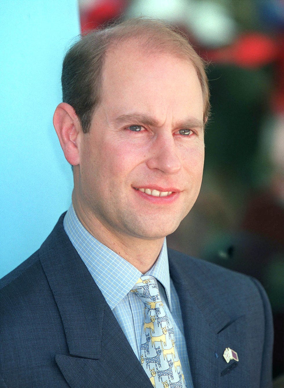 Prince Edward's Cat Tie Was the Secret Star of the Royal Wedding