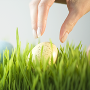 People in nature, Grass, Green, Wheatgrass, Grass family, Lawn, Plant, Easter egg, Ball, Hand, 