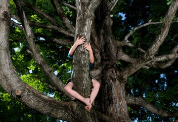 in bomen klimmen is goed voor het kinderbrein