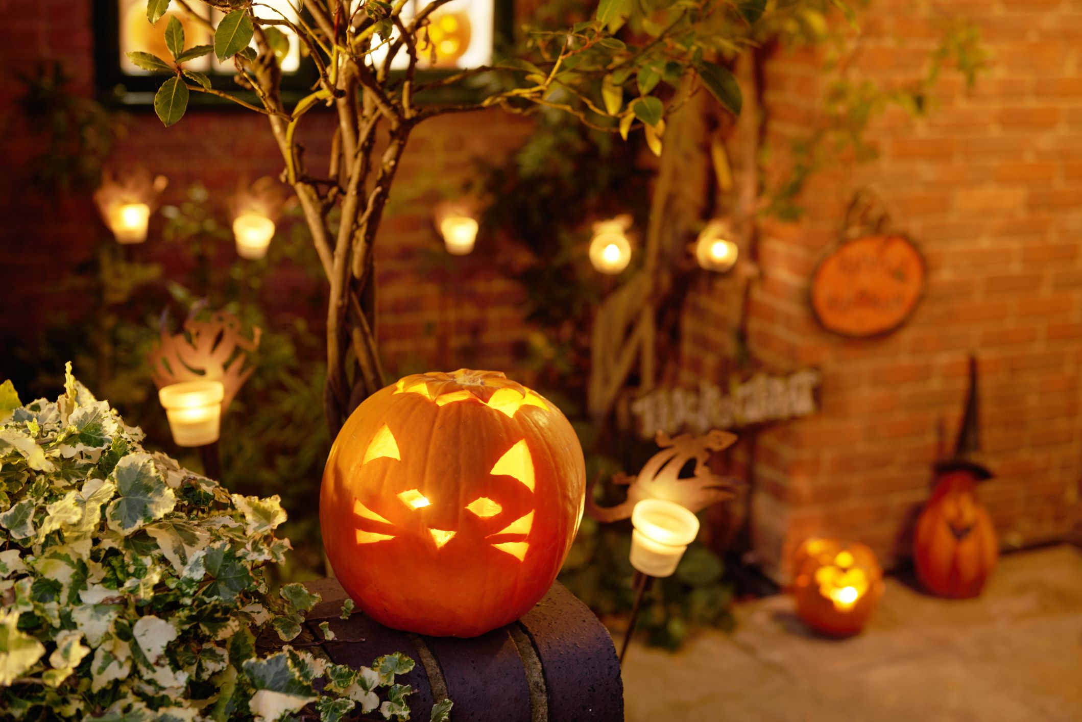 78 Easy Pumpkin Carving Ideas for Halloween 2024