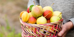 ripe organic pears and apricots in wooden basket person holding  basket of farm fruits in his hands ukrainian typical summer fruits