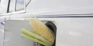mazorca de maíz en depósito combustible
