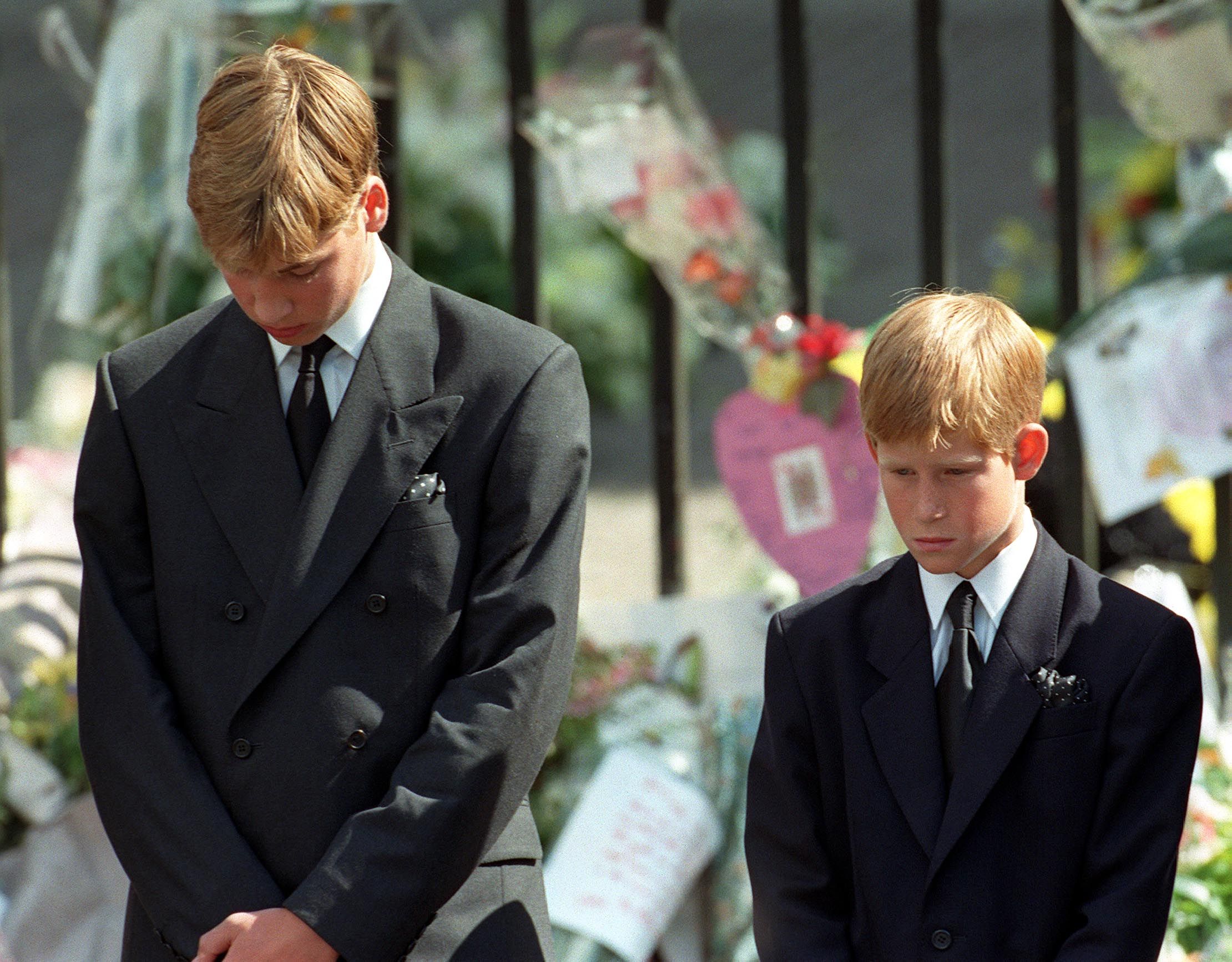 How Princes William and Harry Carry out Princess Diana's Legacy