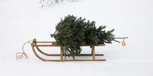 kerstboom langer mee