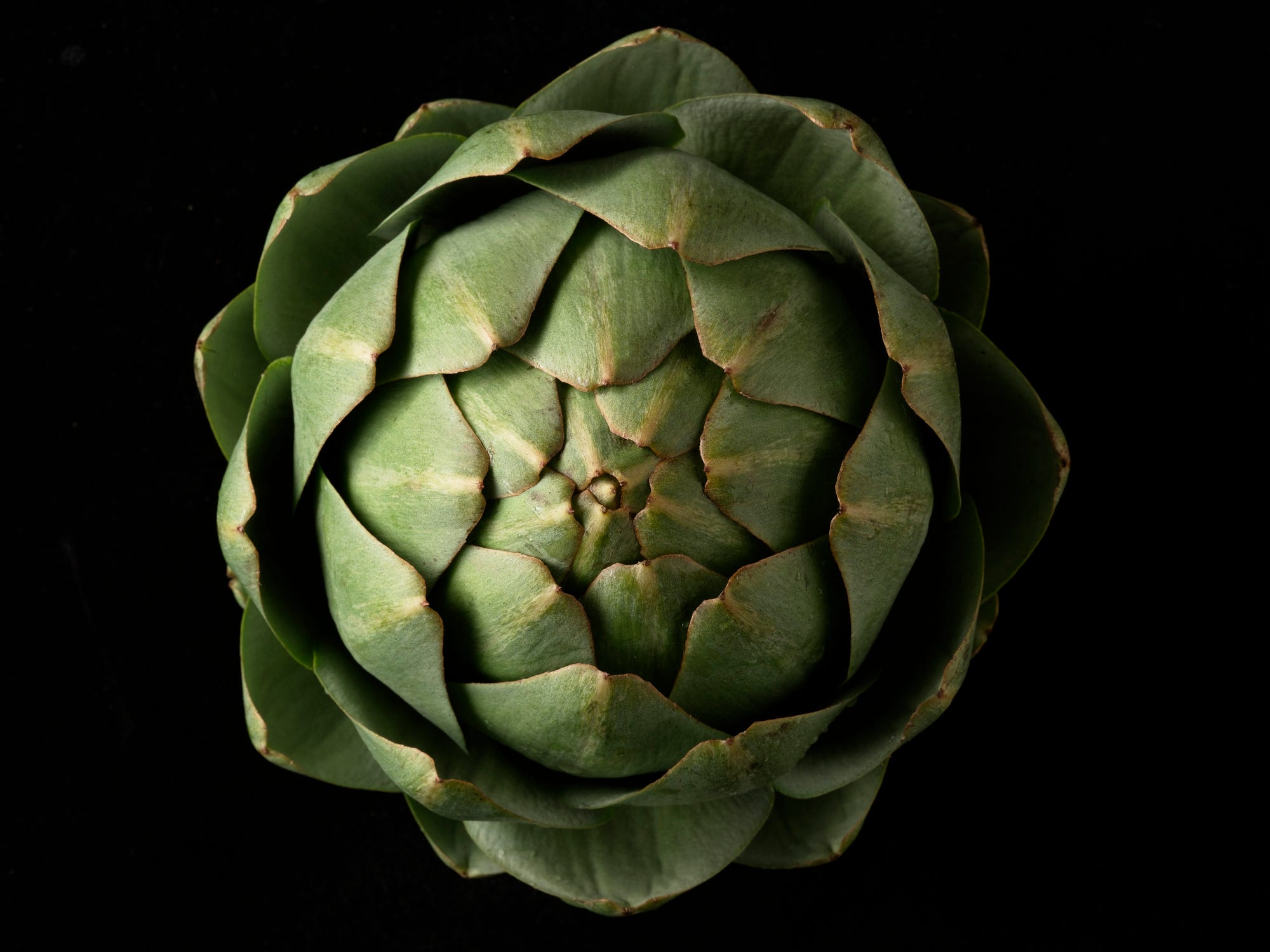 artichoke