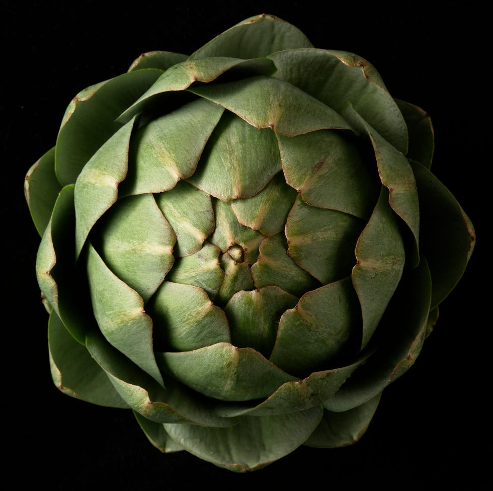Artichoke Top artichoke