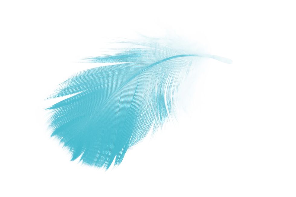 Feather, Blue, Turquoise, Aqua, Teal, Quill, Wing, Azure, Turquoise, Fashion accessory, 