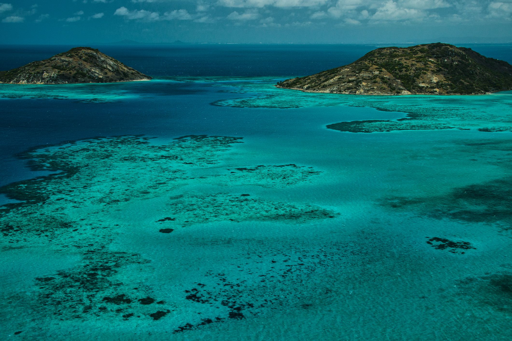 The Great Barrier Reef's Seagrass Is An Amazing Carbon Sink