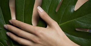 Leaf, Green, Plant, Finger, Flower, Hand, Banana leaf, Terrestrial plant, 