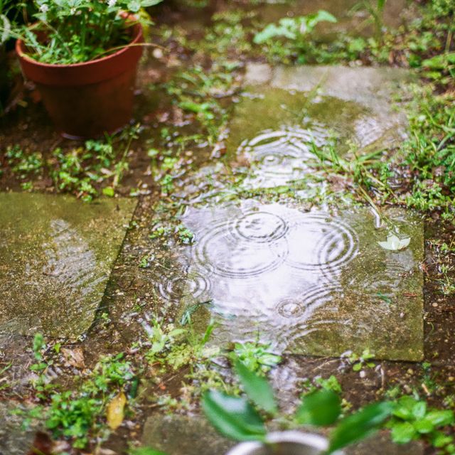 regen in een tuin met tegels en groen