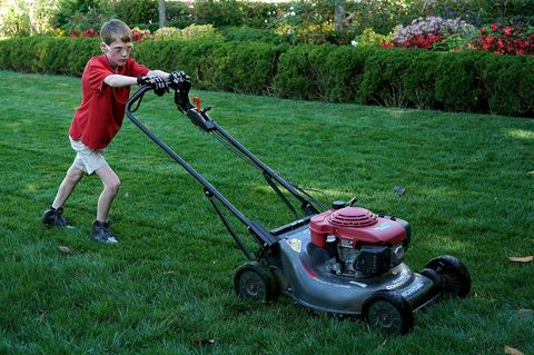 Kid mows the lawn at the White House