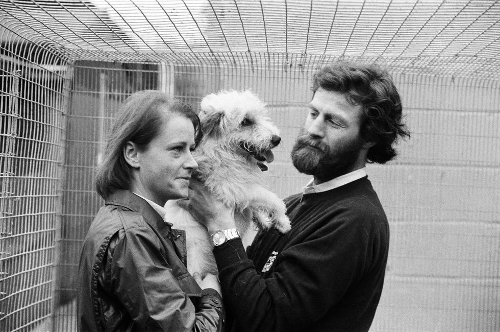 bothie, the youngest and smallest member of the victorious transglobe expedition is joyfully reunited with his owners sir ranulph fiennes who was on the expedition and virginia fiennes at ryslip quarantine kennels in bracknell, berkshire, 6th september 1982 photo by arthur sideydaily mirrormirrorpixgetty images